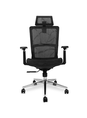 Myfavour, Mfavour Office Chair Ergonomic With Adjustable Arms And Back Support